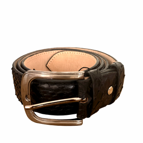Tambora Caballero Negro